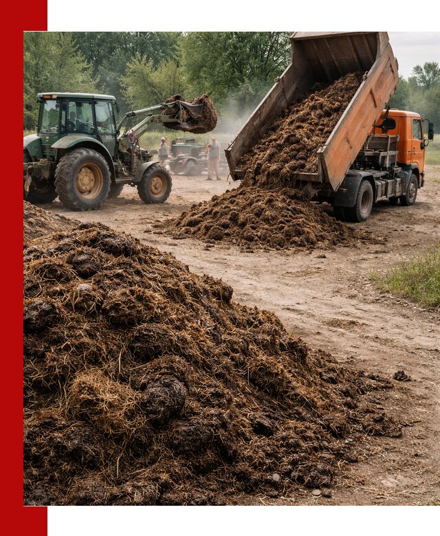 Доставка навоза самосвалами в Екатеринбурге для сельхозпотребностей